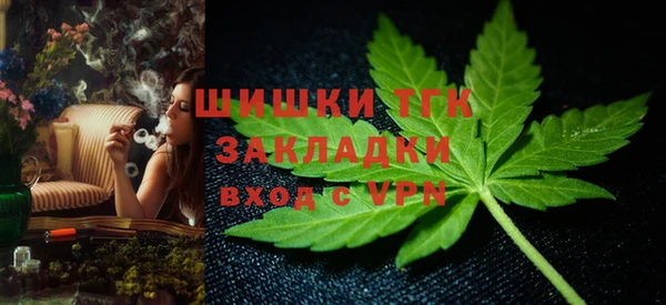 ПСИЛОЦИБИНОВЫЕ ГРИБЫ Кукмор