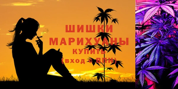 стафф Куйбышев
