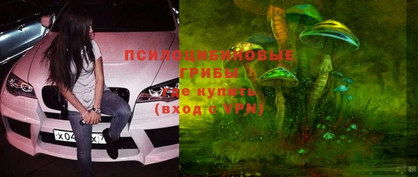 ПСИЛОЦИБИНОВЫЕ ГРИБЫ Кукмор