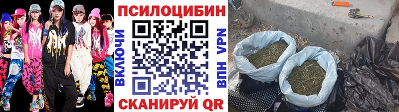 Купить где  Уржум  Галлюциногенные грибы мухоморы 